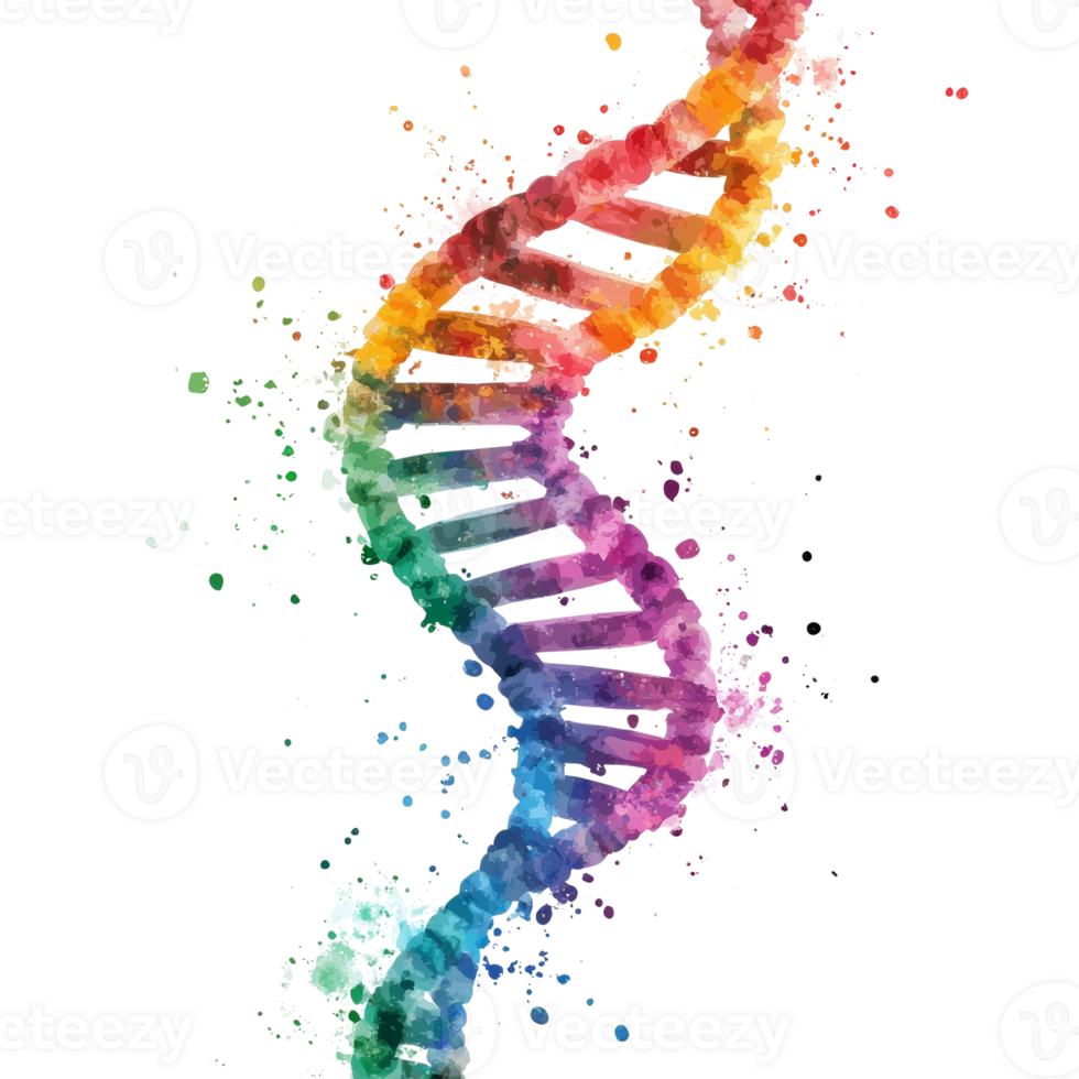 Rainbow Watercolor DNA Helix Splash Art. isolated png
