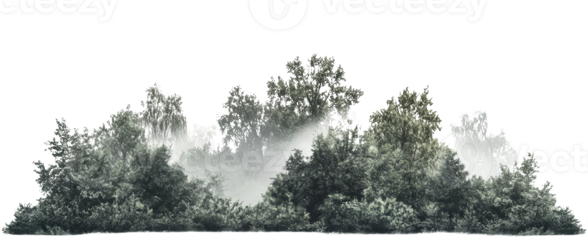 Misty Forest Trees Enveloped In Morning Fog png