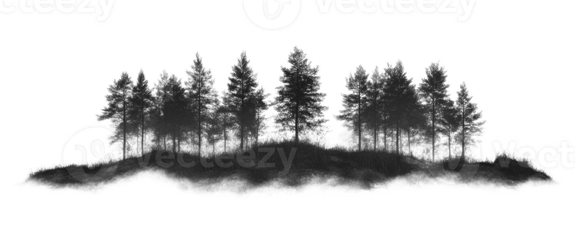 Misty Grove Of Tall Dark Pine Trees png
