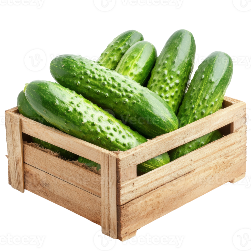 Fresh Green Cucumbers in Wooden Crate png