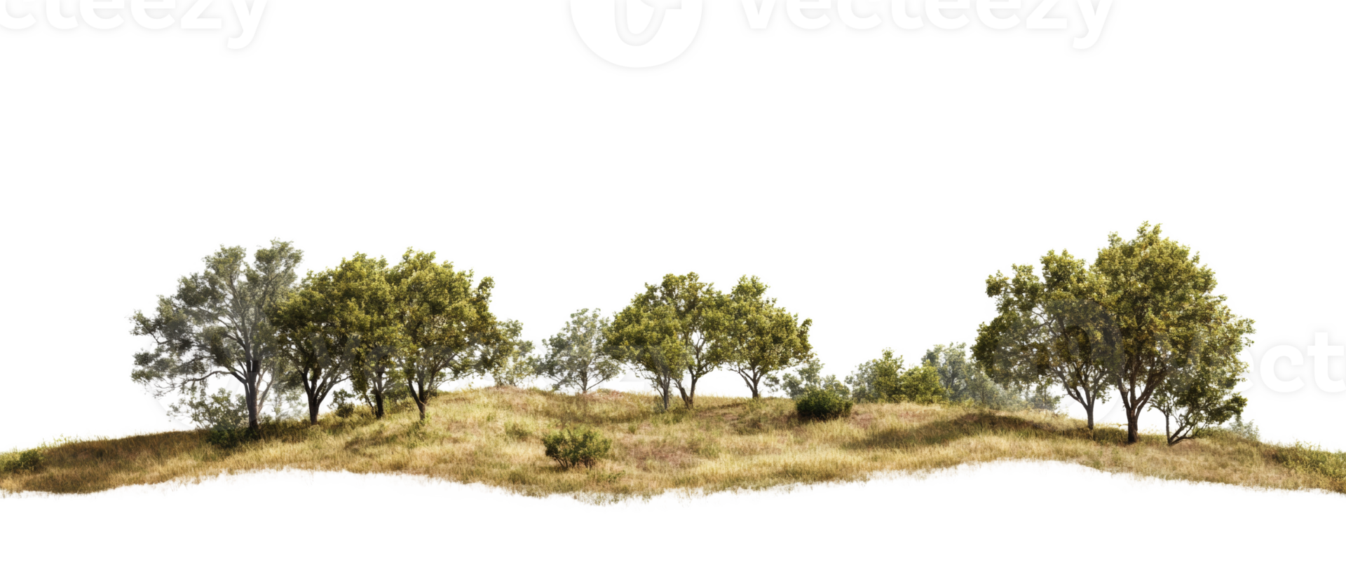 Trees on a grassy hill landscape scene png