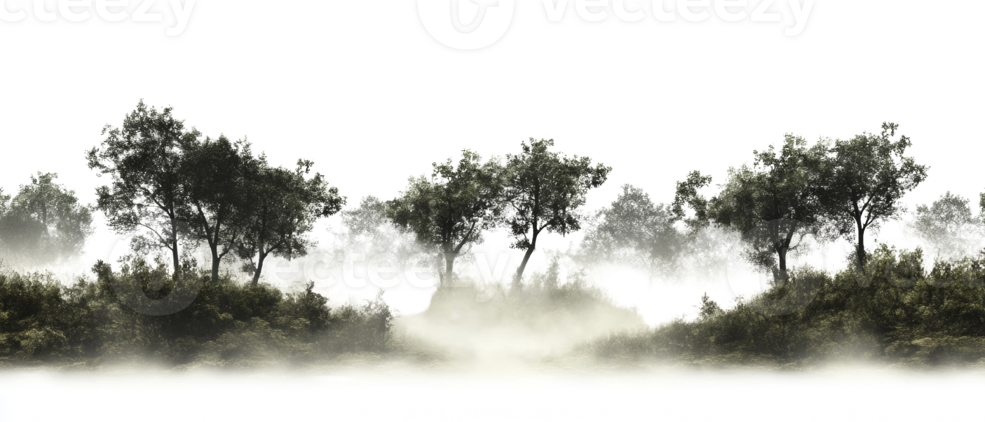 Misty Forest Landscape With Tall Trees png