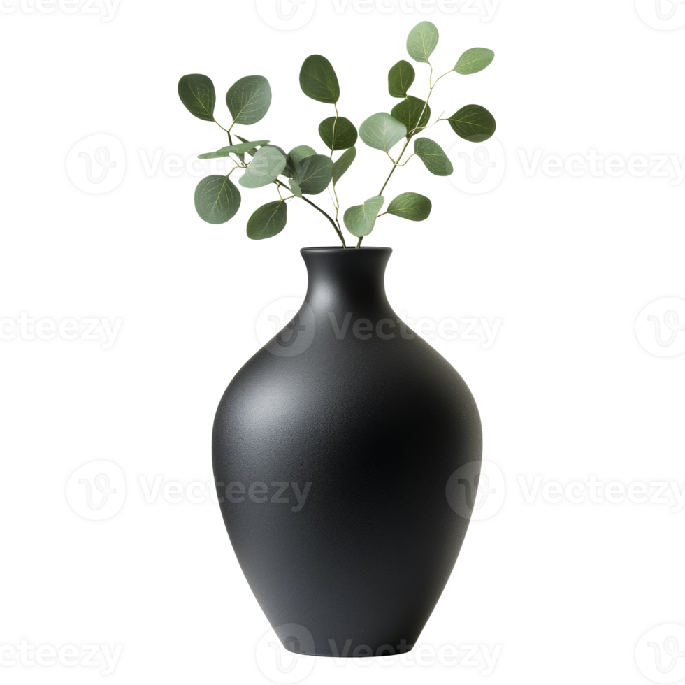 Black Vase with Eucalyptus Sprig Arrangement png