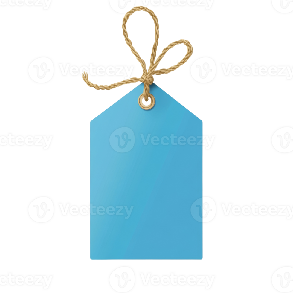 Light Blue Tag with Twine Bow png