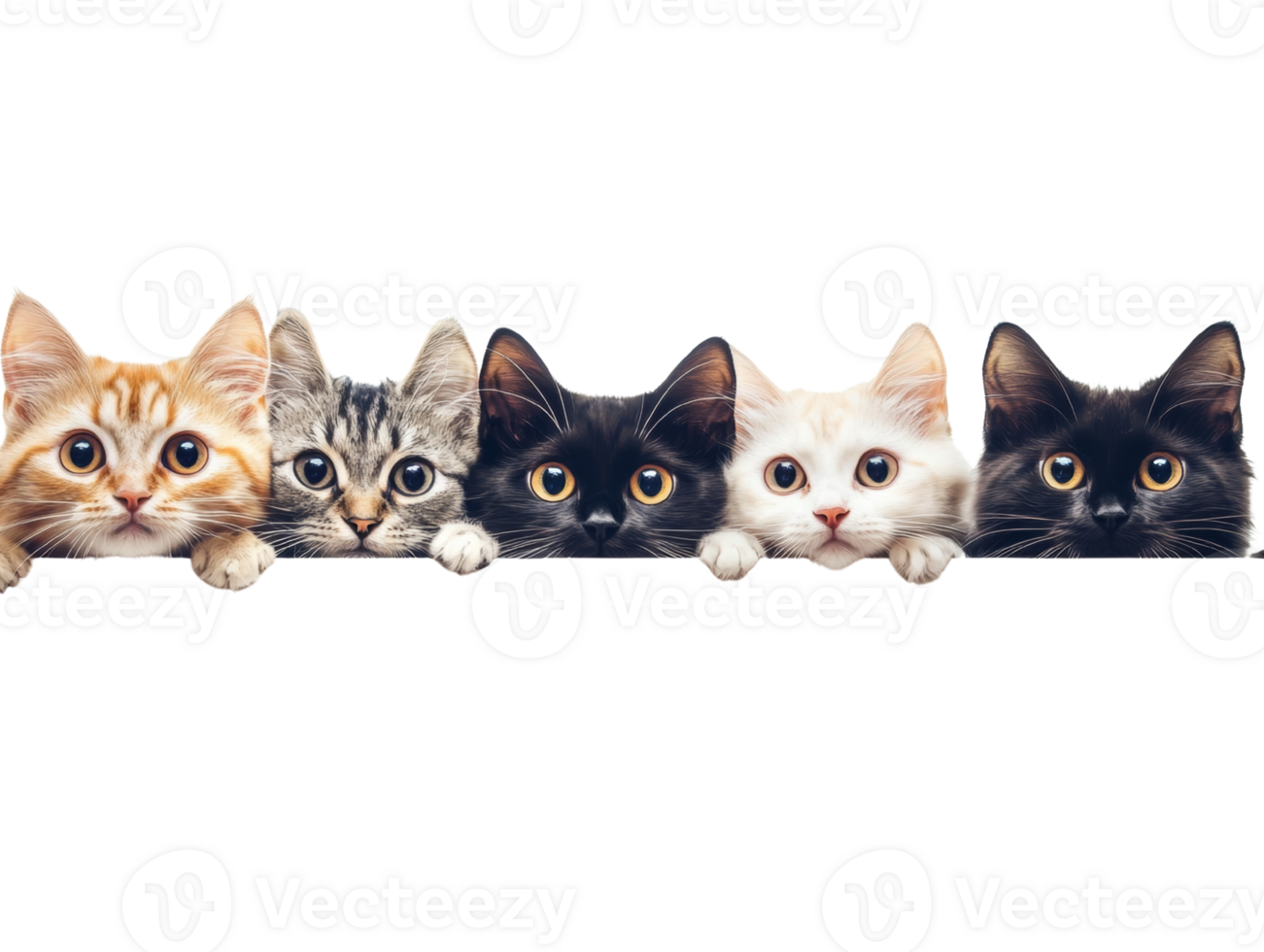 Five adorable kittens peeking over a surface png