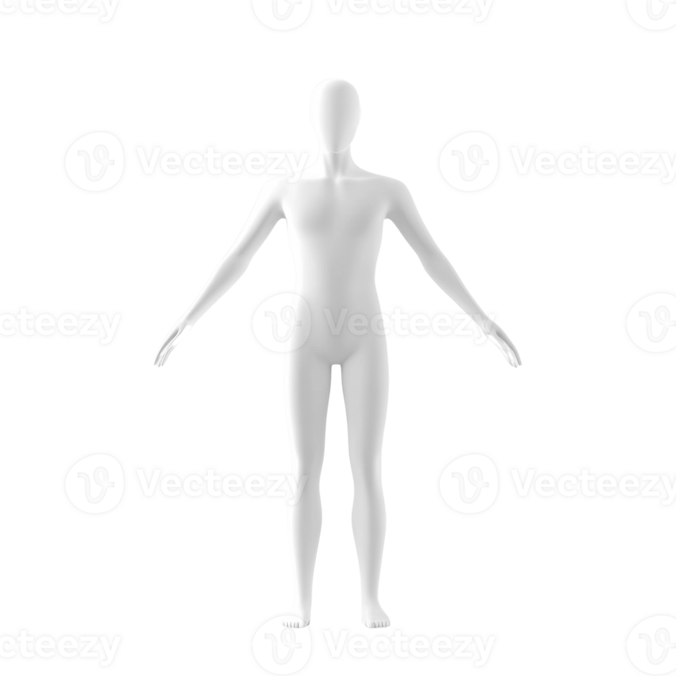 White Humanoid Figure Anatomical Model png