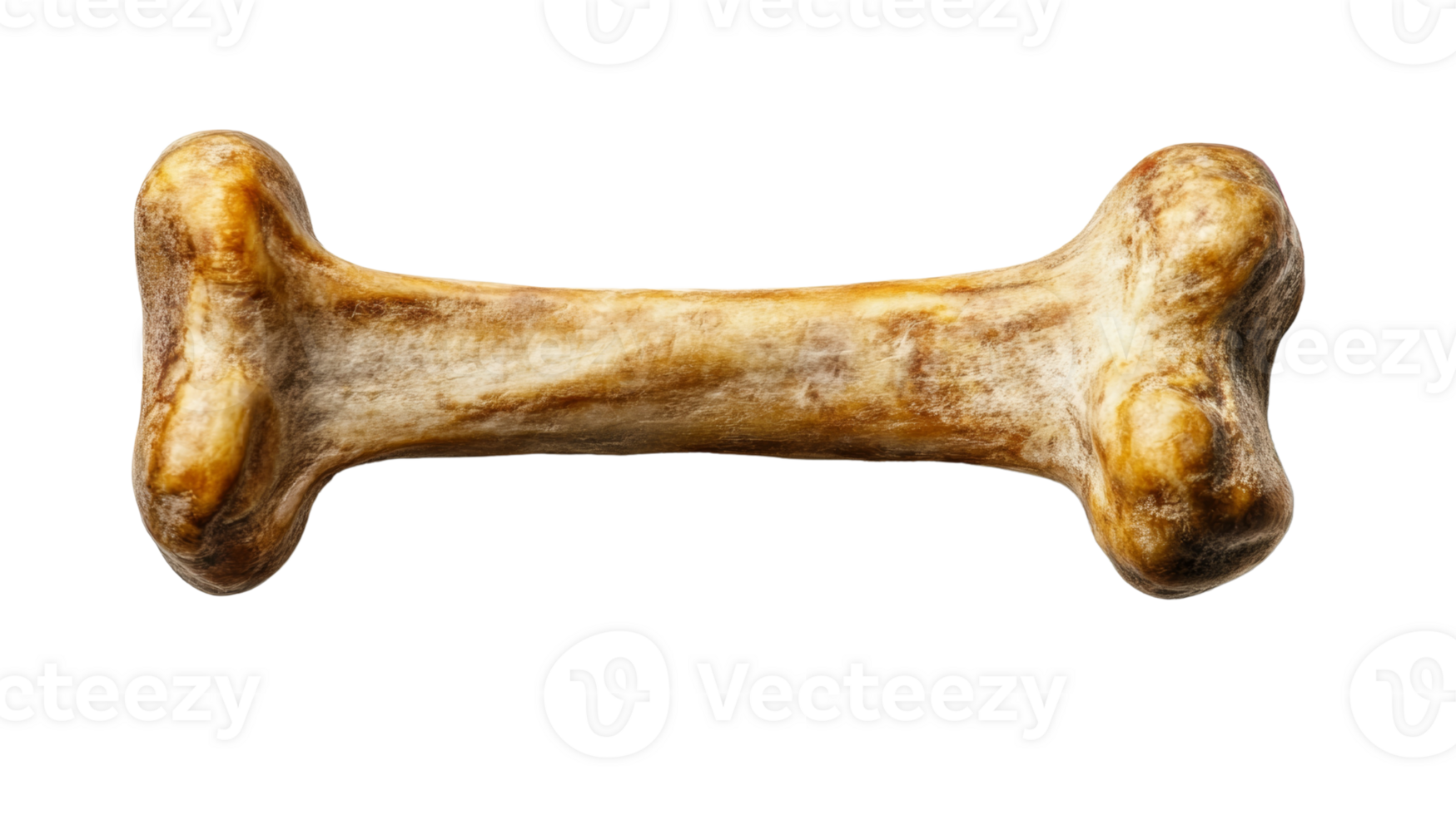 Single Clean Bone Isolated on Black Background png