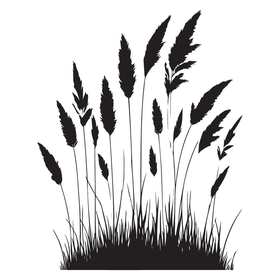 Tall Grass Silhouette Natural Scene Illustration vector