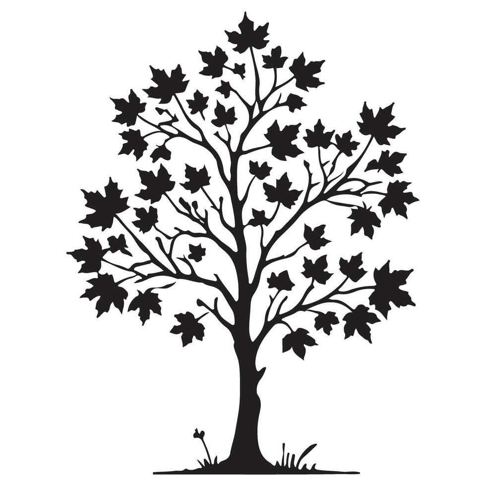 Charming Maple Tree Silhouette Illustration vector