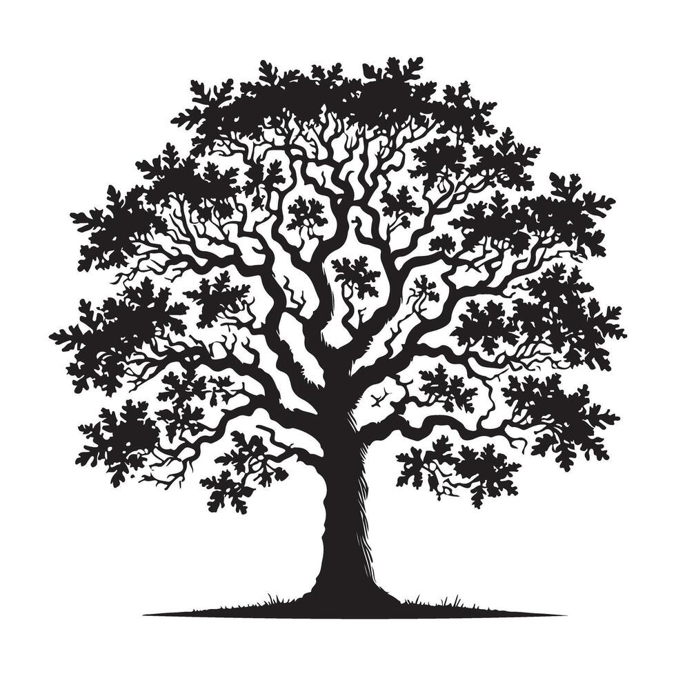 Majestic Oak Tree Silhouette Illustration art design vector