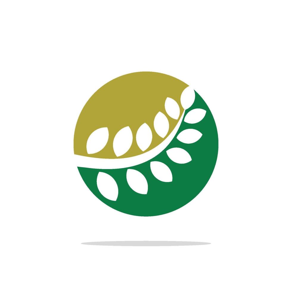 Abstract Green Leaves Circle Ornamental Logo Template Illustration Design EPS 10 vector
