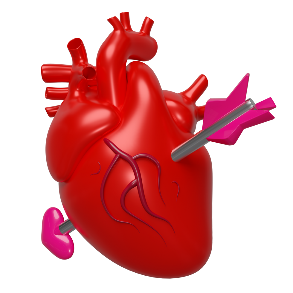 3d red human heart with arrow isolated. Happy valentine's day concept, 3d illustration render png