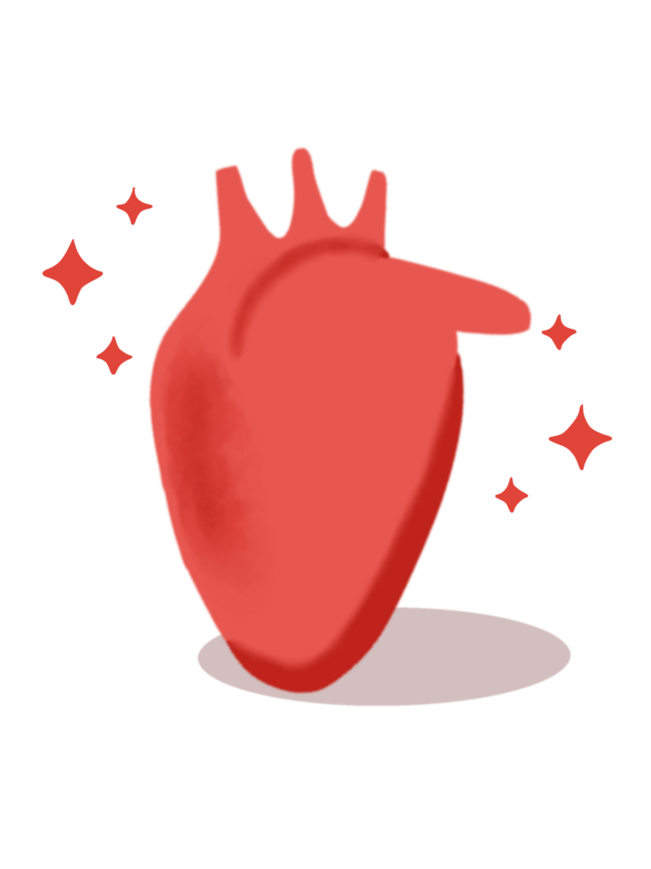 Human heart illustration icon png
