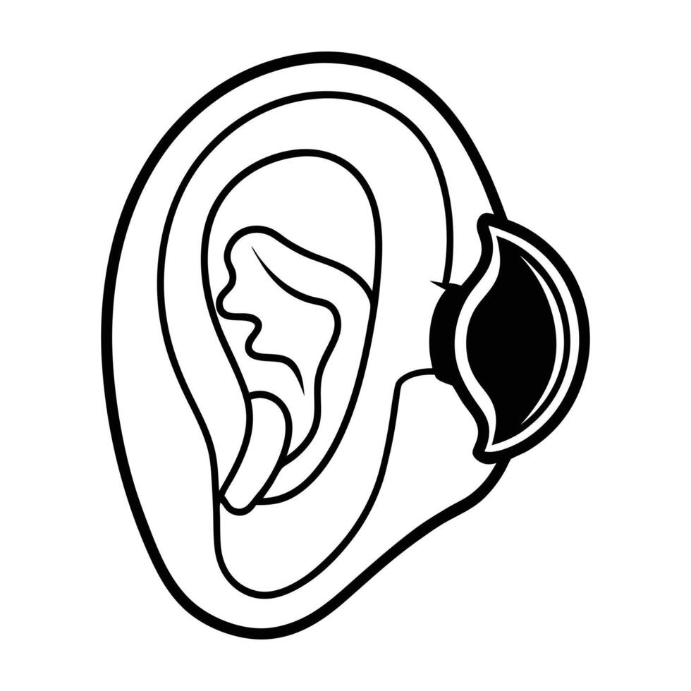 Human Eardrum Whole and Half Cut - Detailed Close-up Medical Illustrations vector