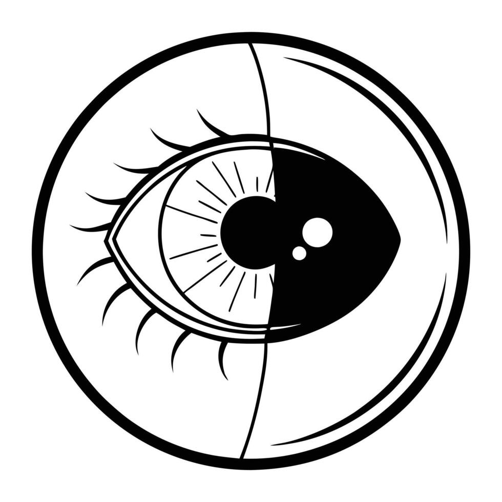 Human Eyeball Whole and Half Cut High Quality Stock Images for Medical and Educational Purposes vector