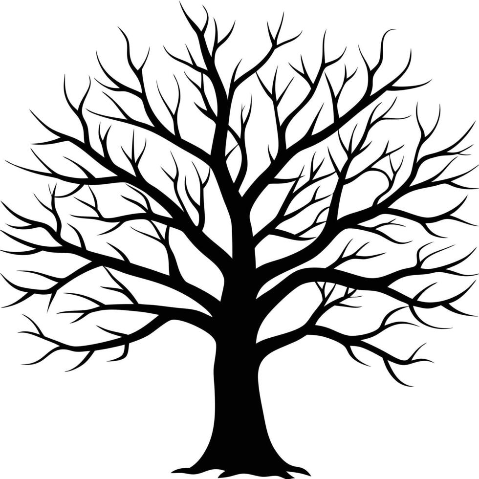 Minimalist Tree Illustration on Plain White vector