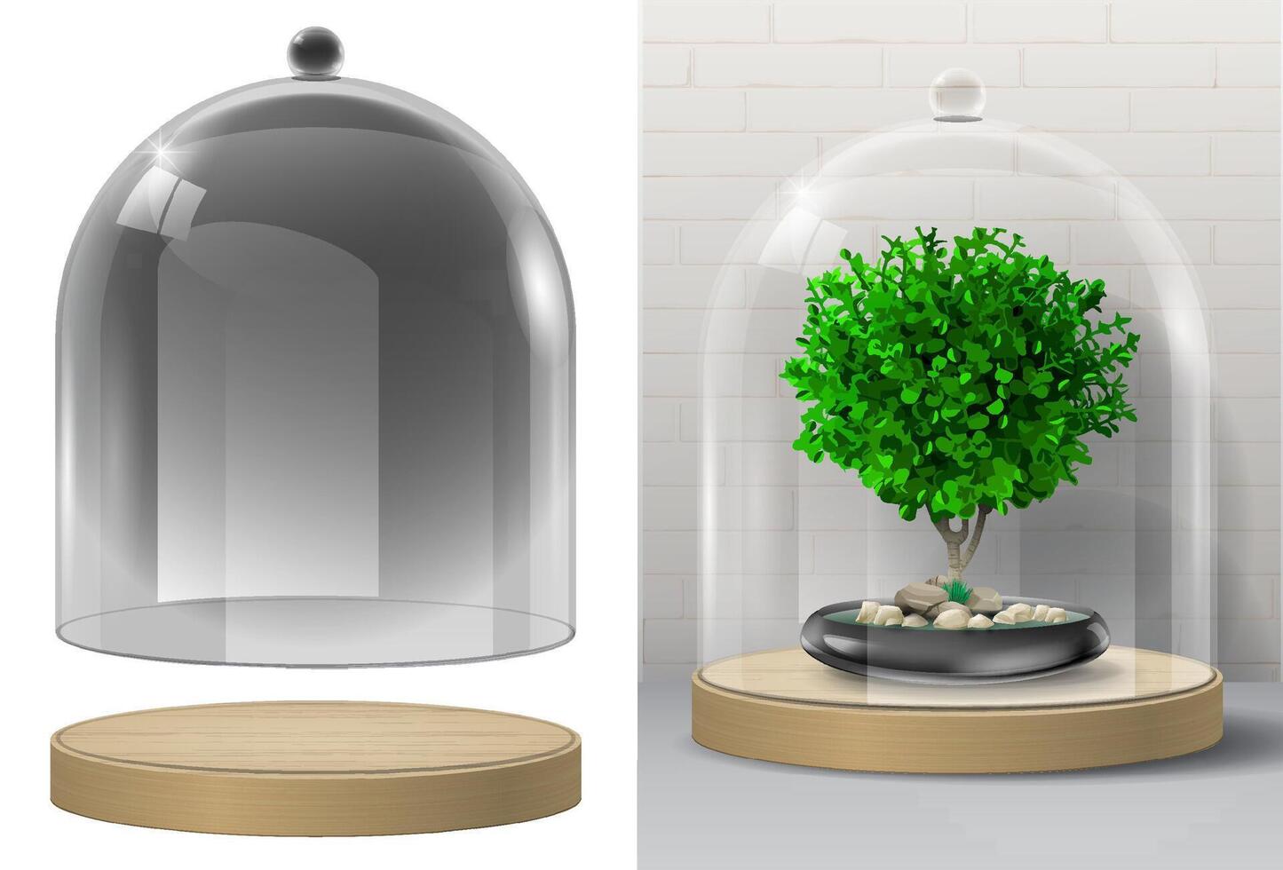 Glass flask for decoration stand showcase vector