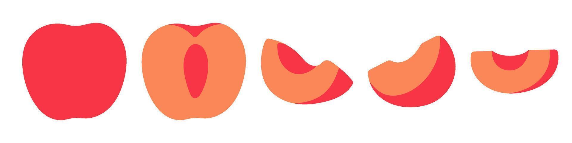Set of abstract apricot. Whole, half and sliced fruit. Vibrant design in a modern, minimal style for textiles, packaging, poster, interior. vector