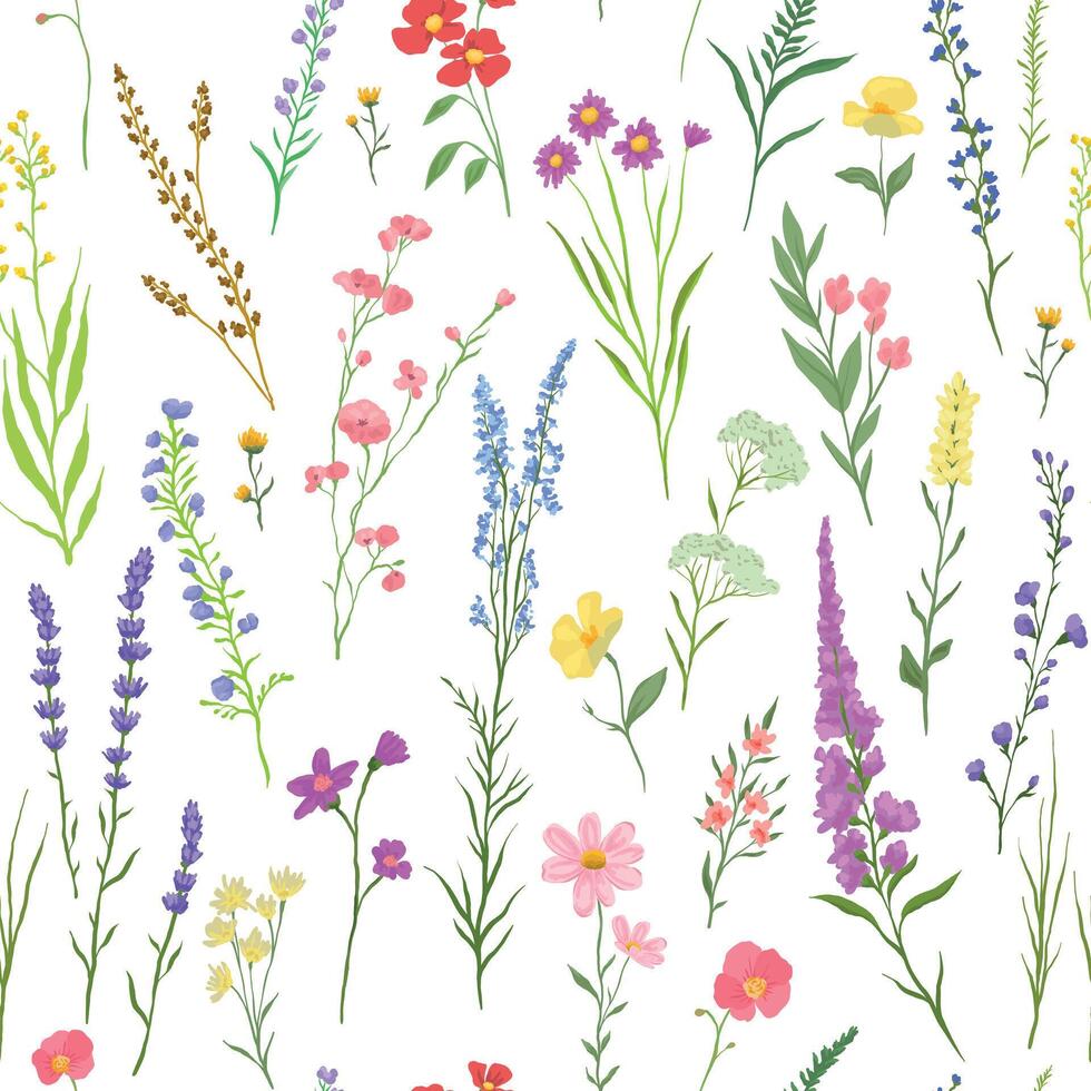 illustration of Seamless pattern with various wildflowers and delicate plants vector