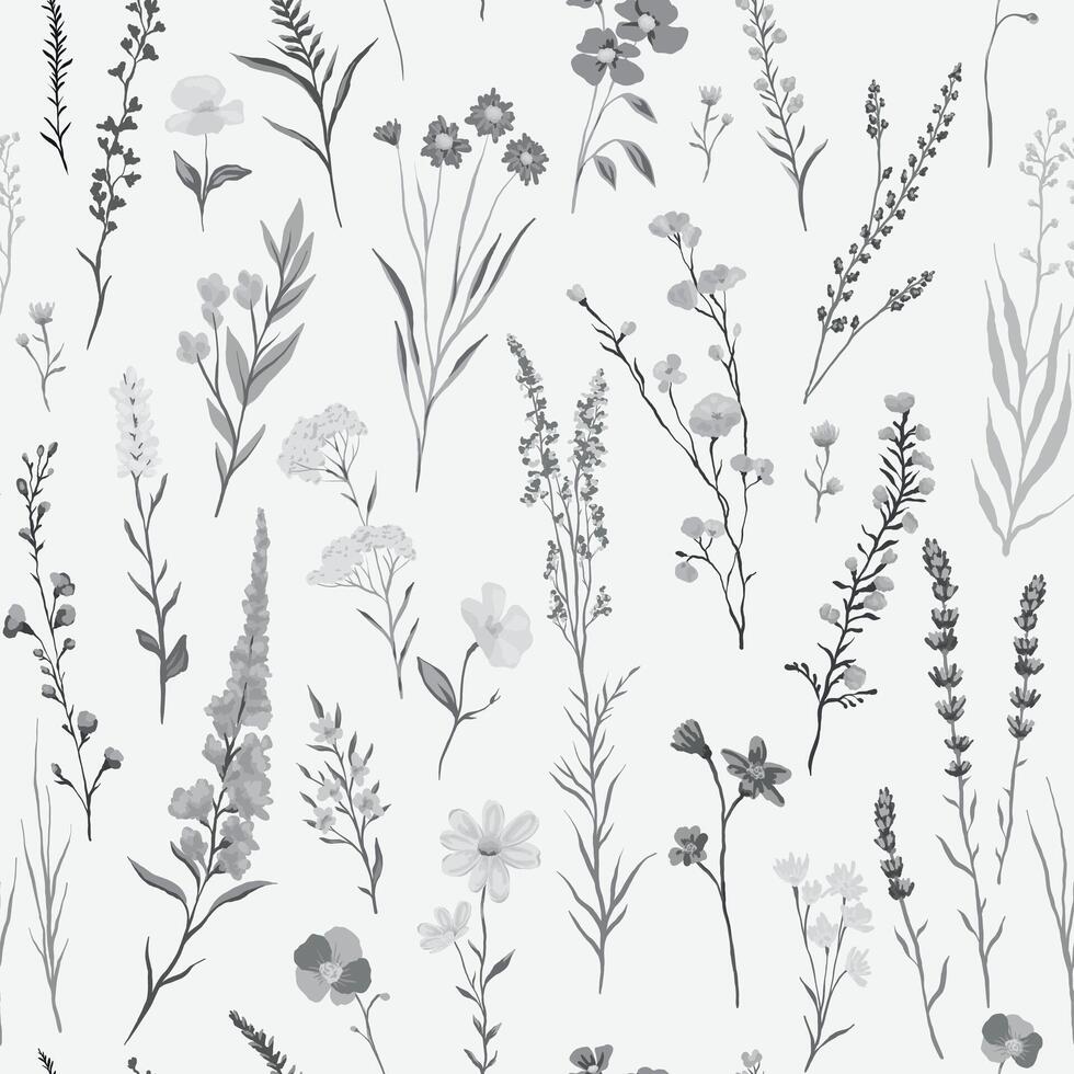 illustration of Seamless monochrome pattern with various wildflowers and delicate plants vector