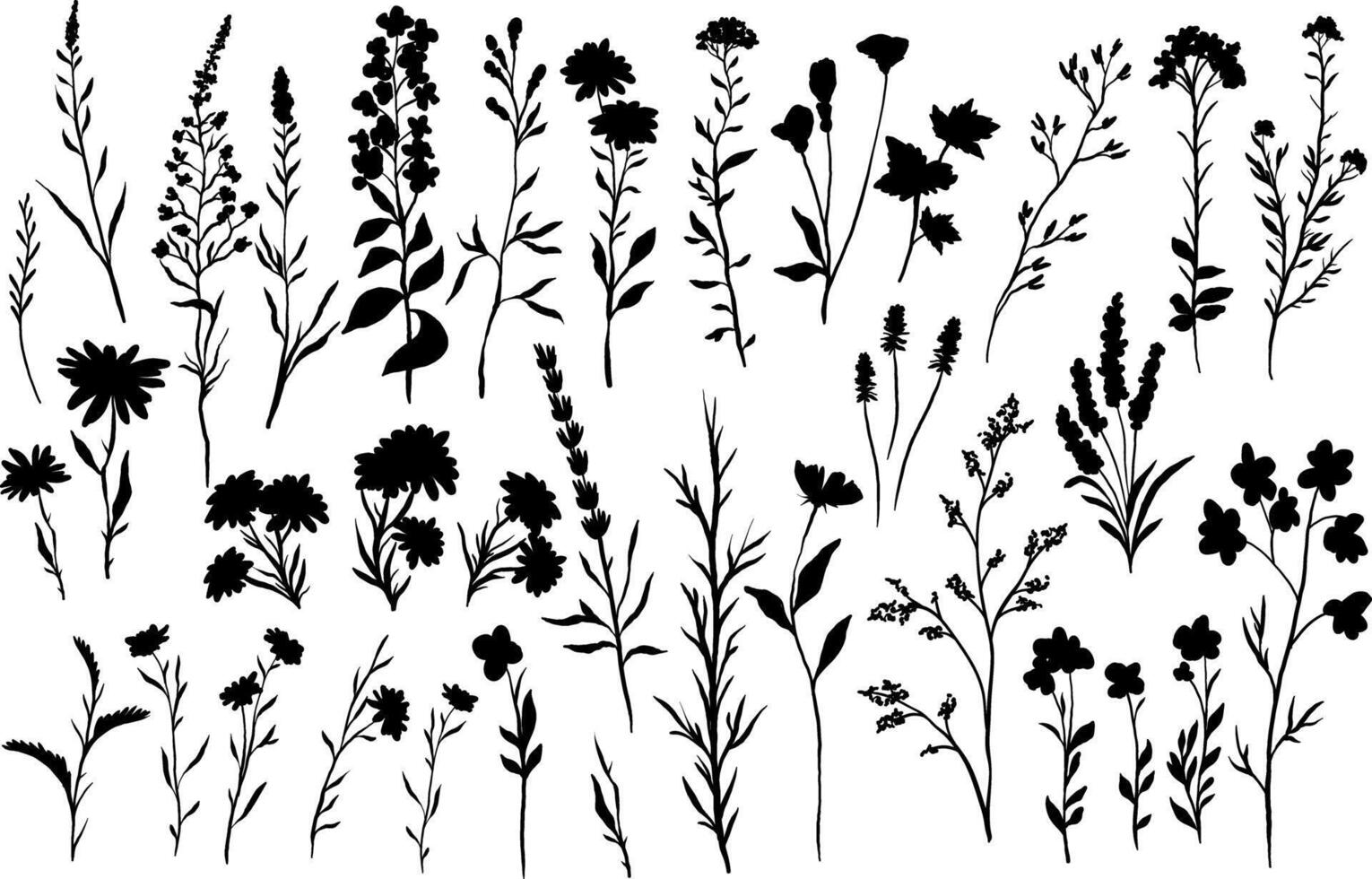 silhouettes illustration of various wildflowers and delicate plants set arranged artistically on a white background vector
