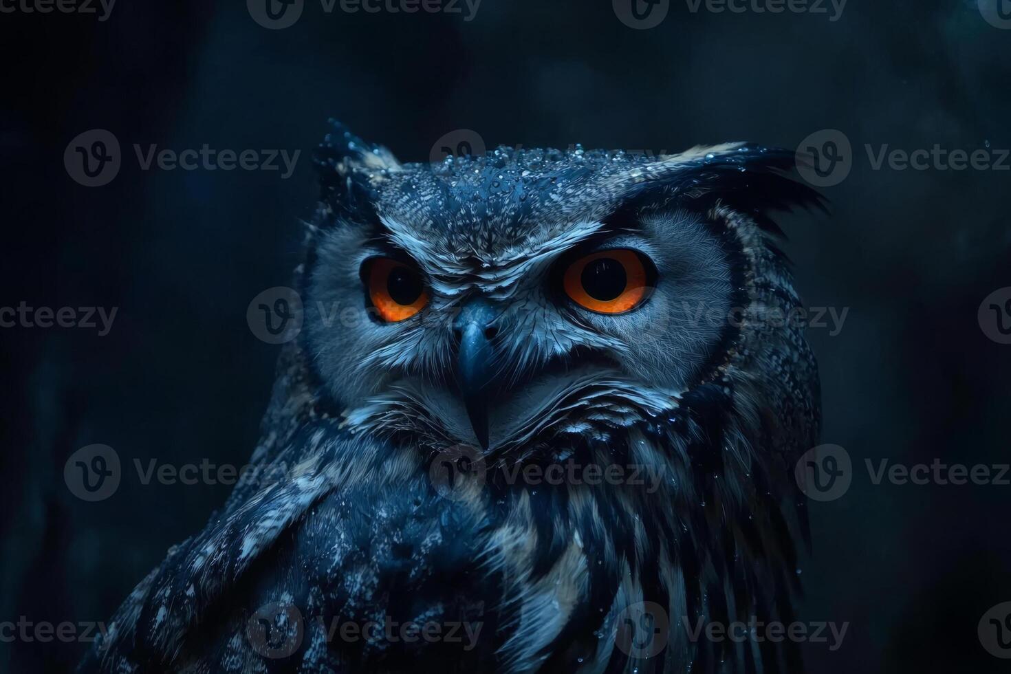 Close up of owl with orange eyes on dark background photo