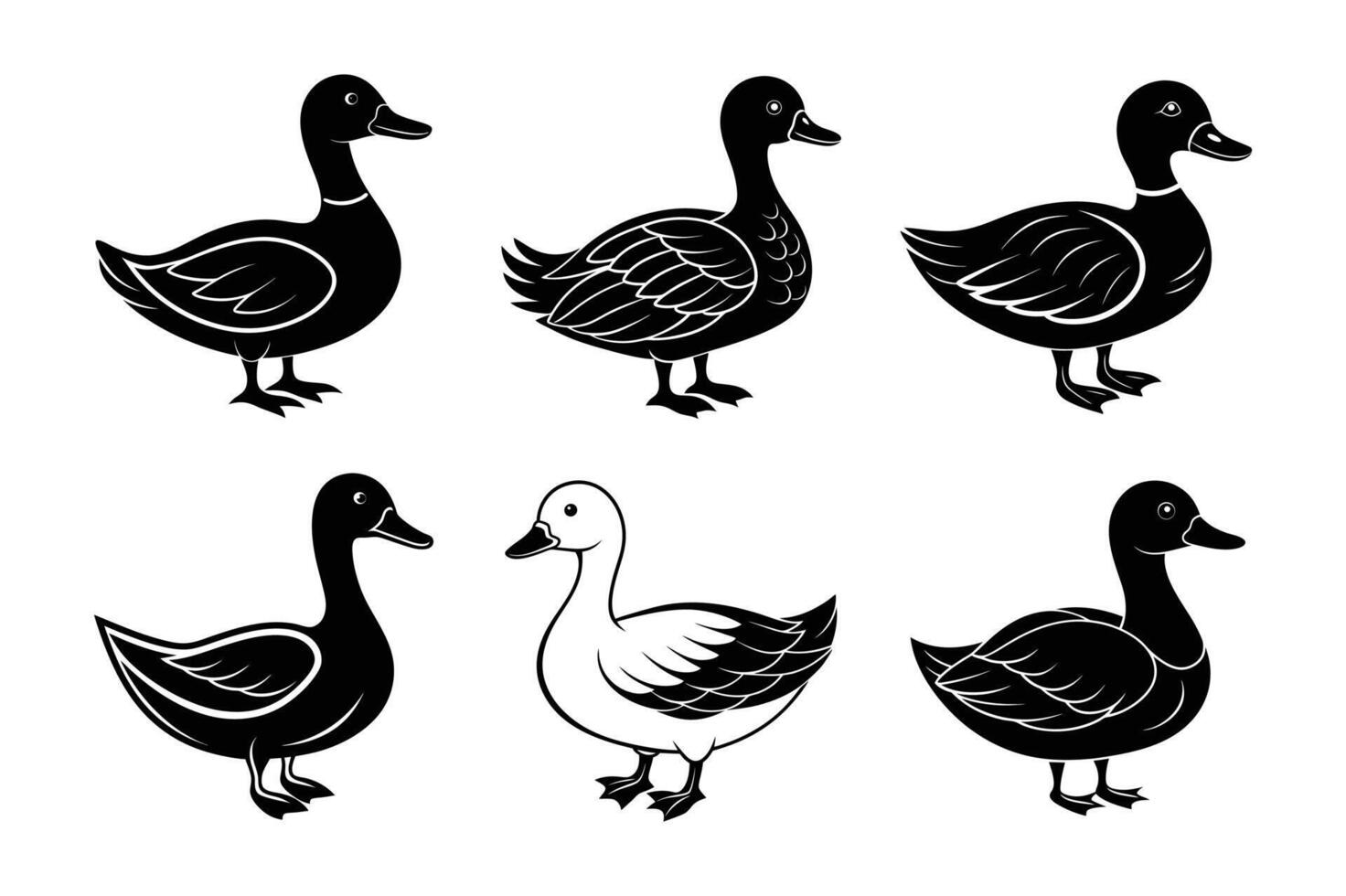 duck downy art vector