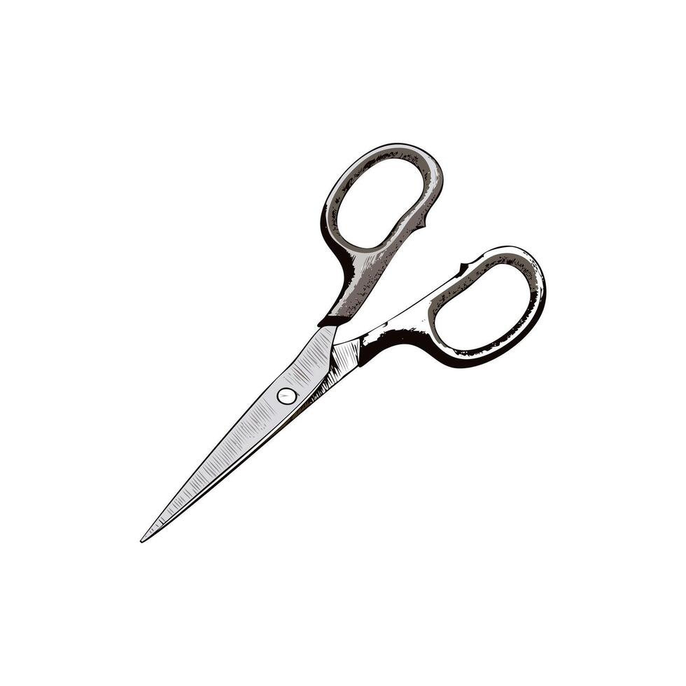 Scissors Sketch Cut Tool School Knowledge Education Academy Learn Study Learning vector
