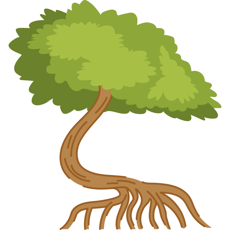vibrant mangrove tree and roots png