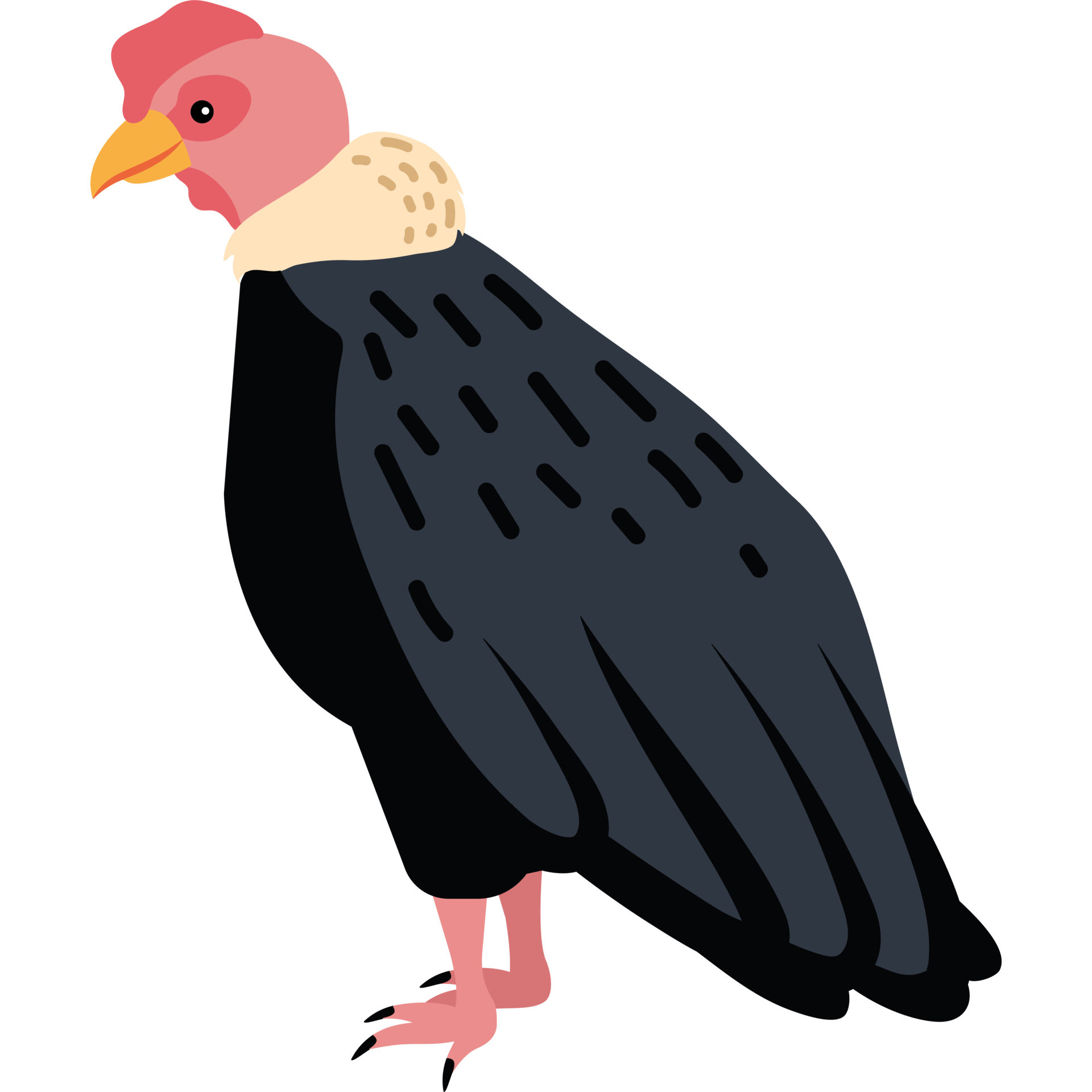 Awe Inspiring Encounter:  Human And Andean Condor - hzd3wfx