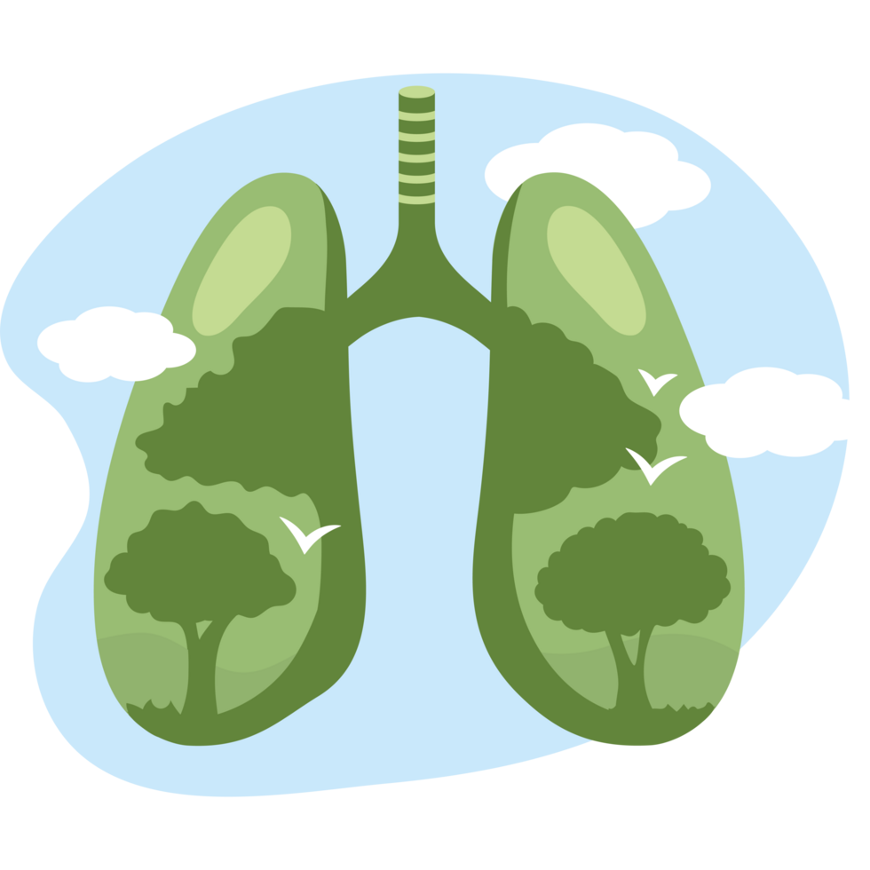 lungs with green trees clean air png