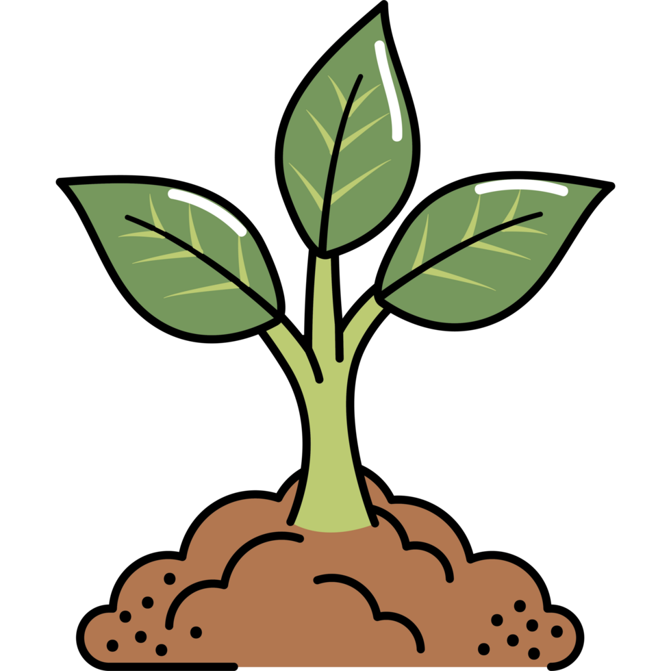 small green sprout with green leaves png
