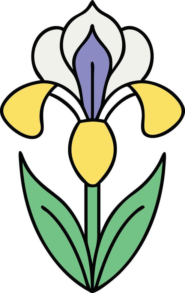 Stylized Iris Flower Illustration Yellow, White, Purple Bloom vector