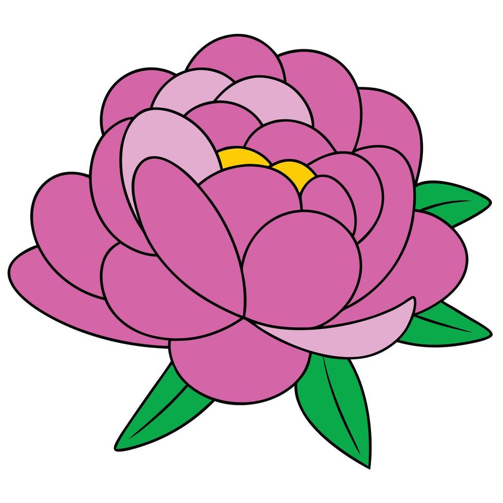 Vibrant Pink Peony Bloom, Detailed Illustration, Floral Art vector