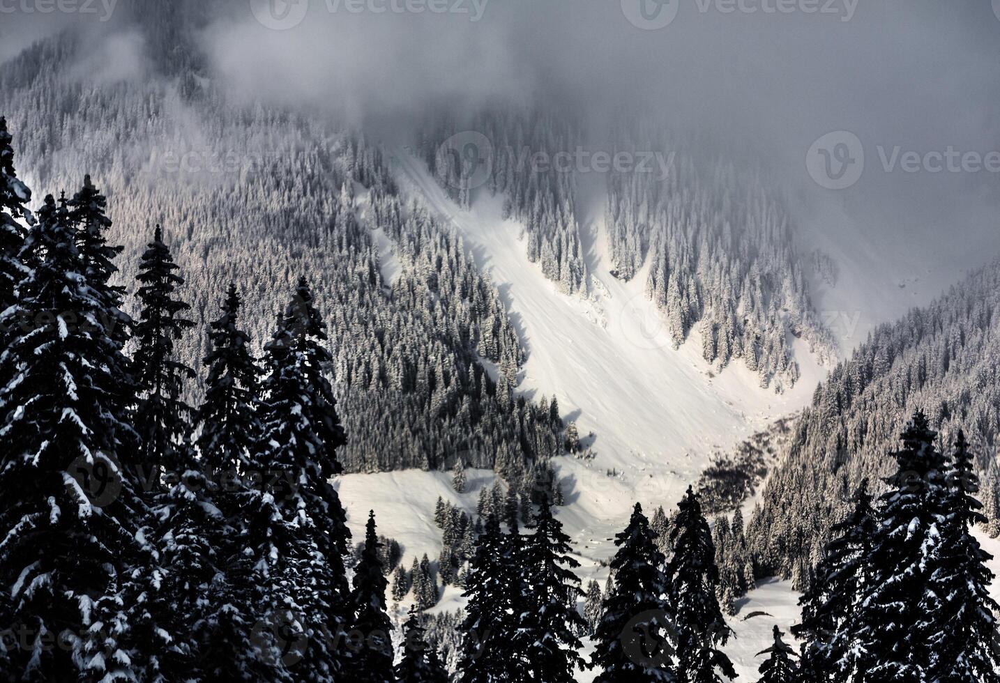 A snowy mountain with trees and a skier photo