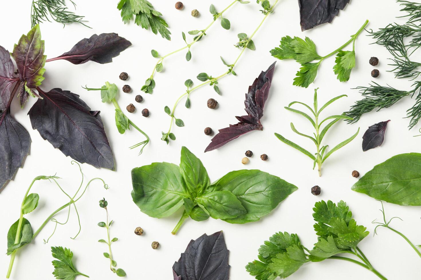 Different herbs and spices on white background, top view photo