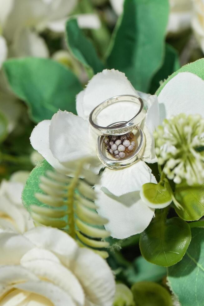 a ring sitting on top of white flowers photo