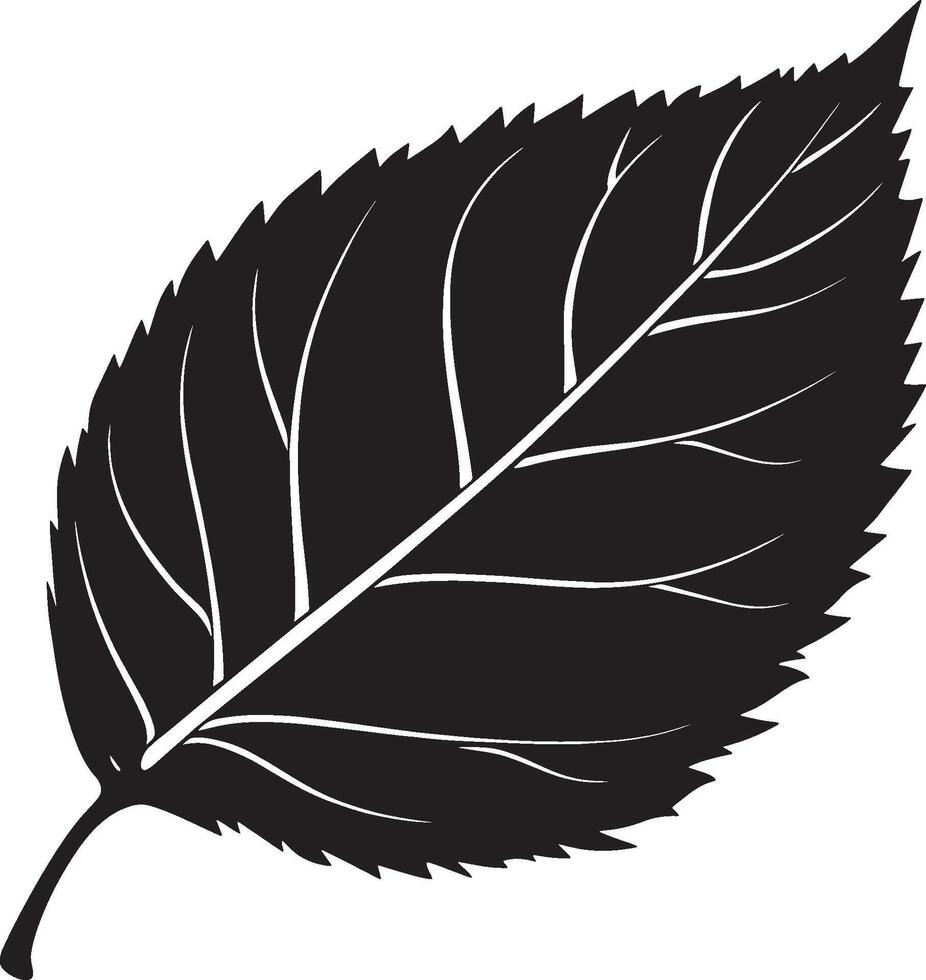 Leaf silhouette in black style vector