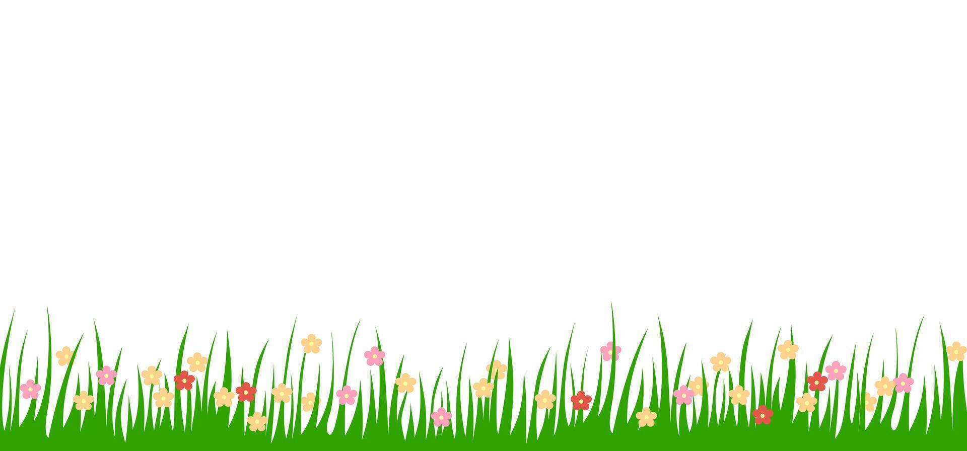 green grass lawn with flower border or meadow illustration. vector