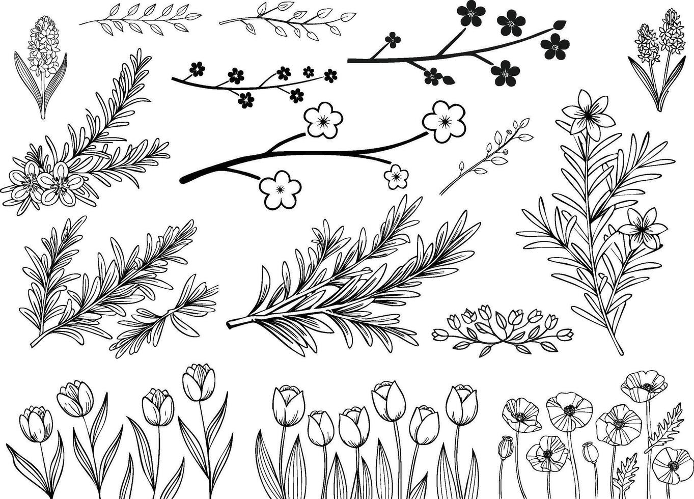 black and white hand drawn leaves and flowers in branch line art vector