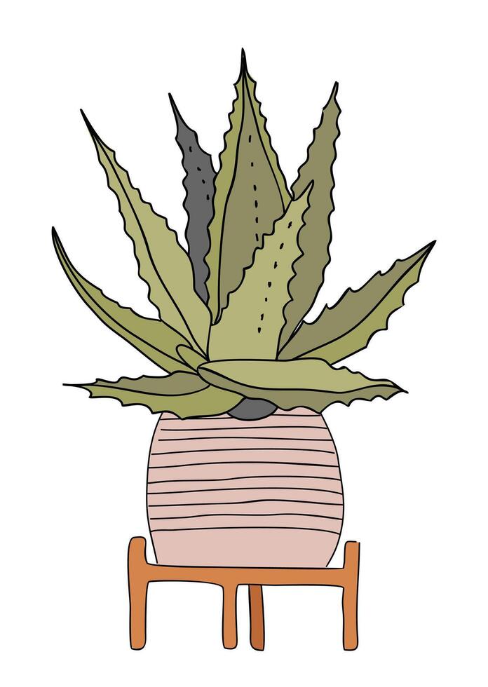 A potted aloe plant in ceramic hand made pot with a wooden stand vector