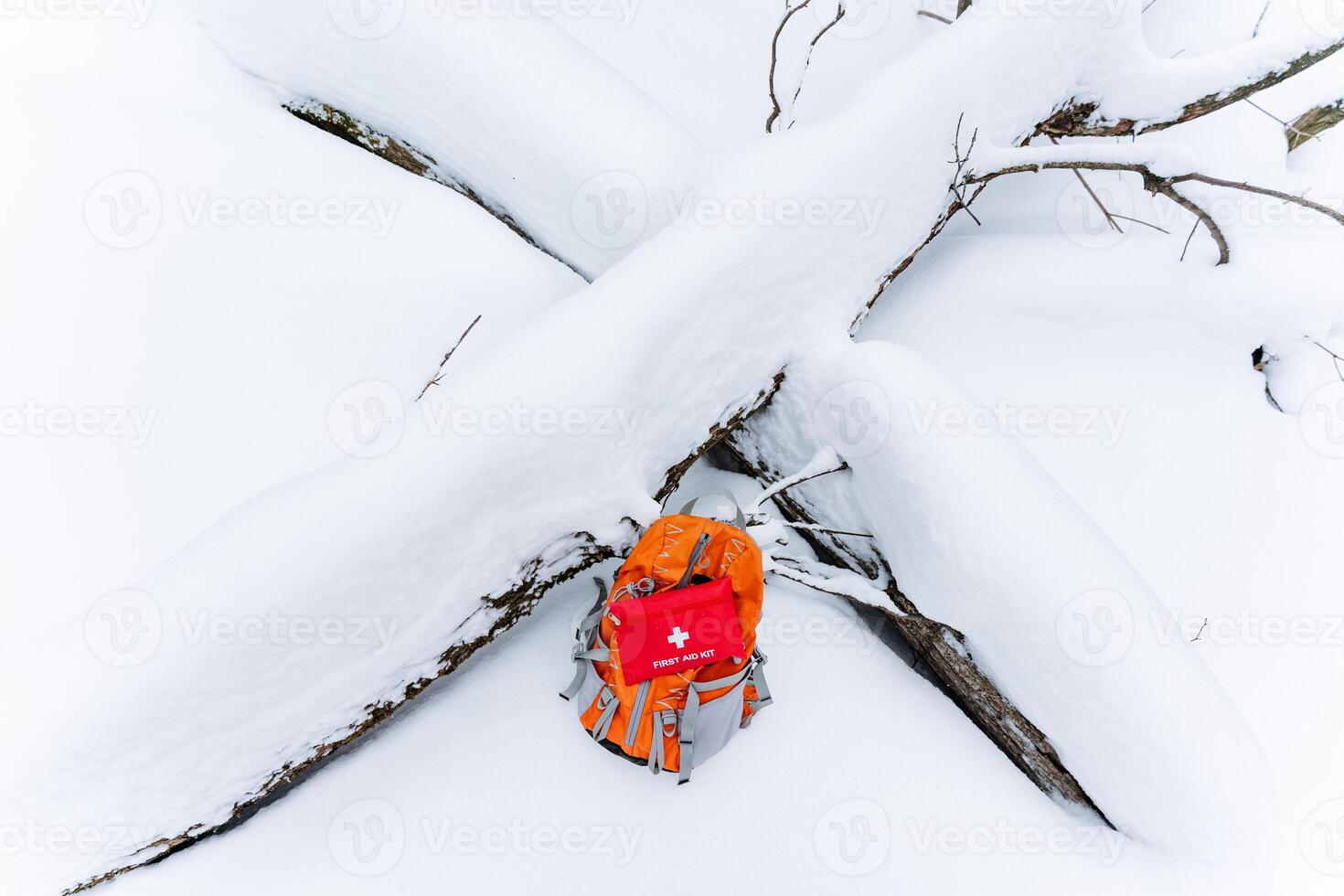 A bright red backpack is casually resting on top of a snowcovered tree branch, contrasting beautifully with the winter scene surrounding it, creating a picturesque, frosty atmosphere photo