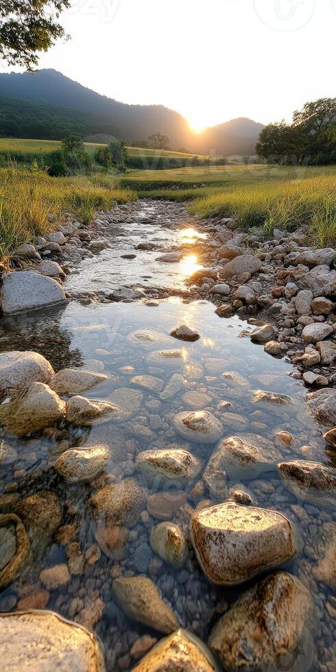 A river with a sun shining on it. The sun is in the sky photo
