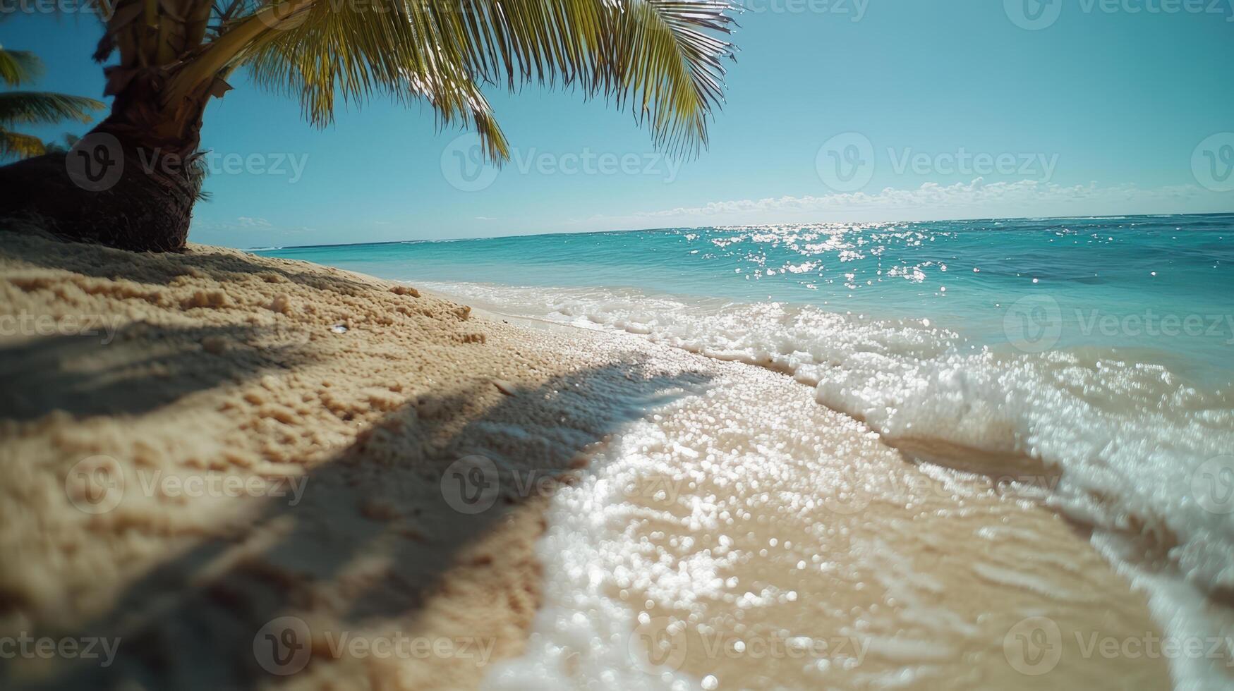 A beach with a palm tree in the background. The water is calm and the sky is clear photo