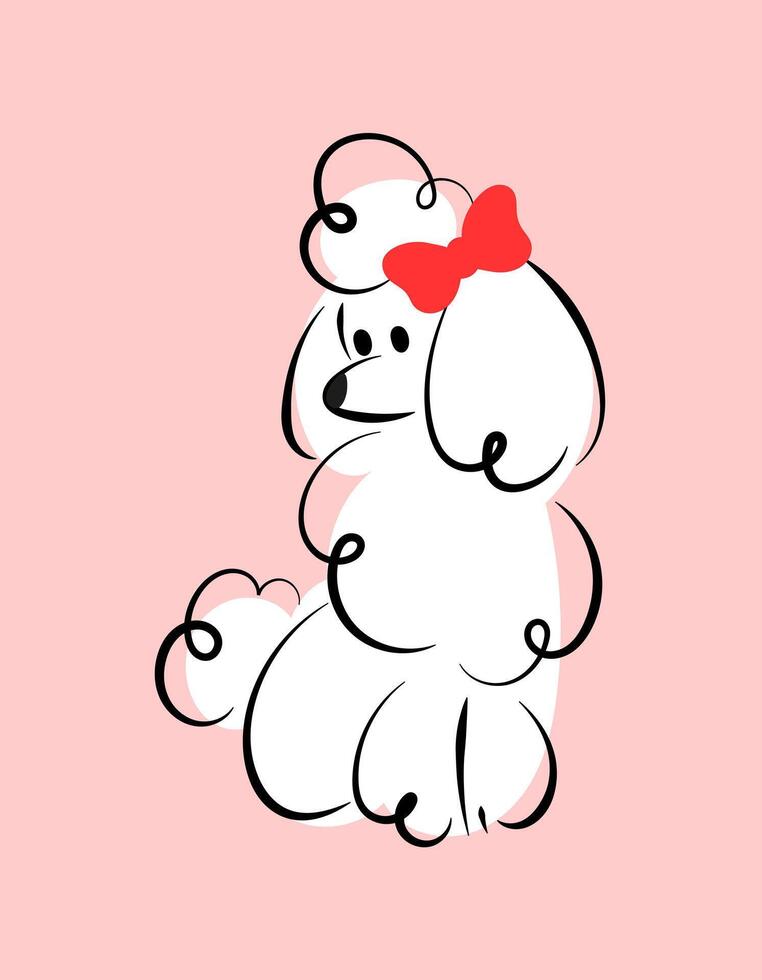 Hand drawn illustration of white poodle with bow on pink background, suitable for decor, logo of pastry shop or grooming salon. vector