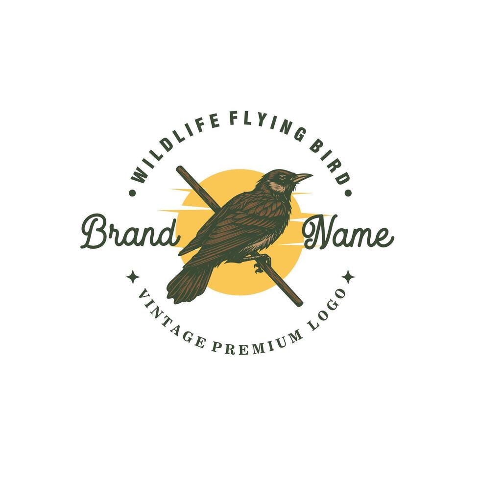 bird hand drawn vintage logo design graphic illustration vector