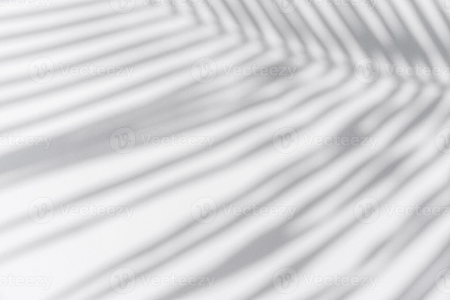 Shadow of palm leaves sway in the wind on white background photo