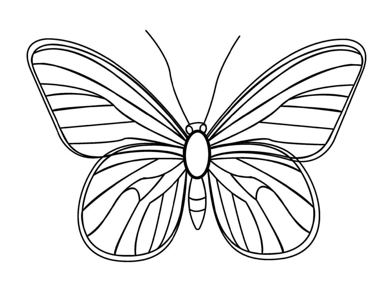 Delicate butterfly illustration for spring and summer designs vector