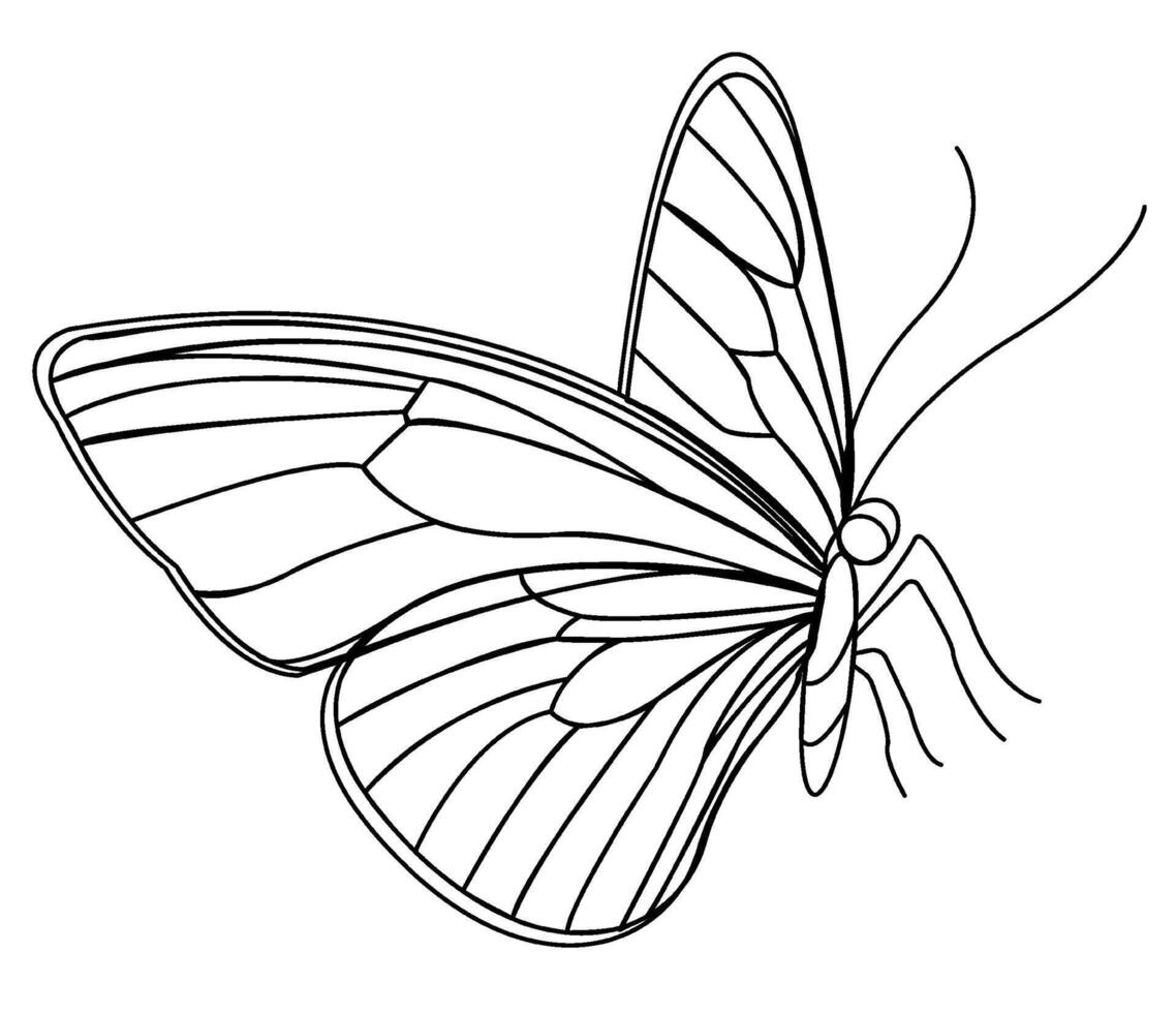 Butterfly illustration as a logo icon representing spring and summer themes in a format vector