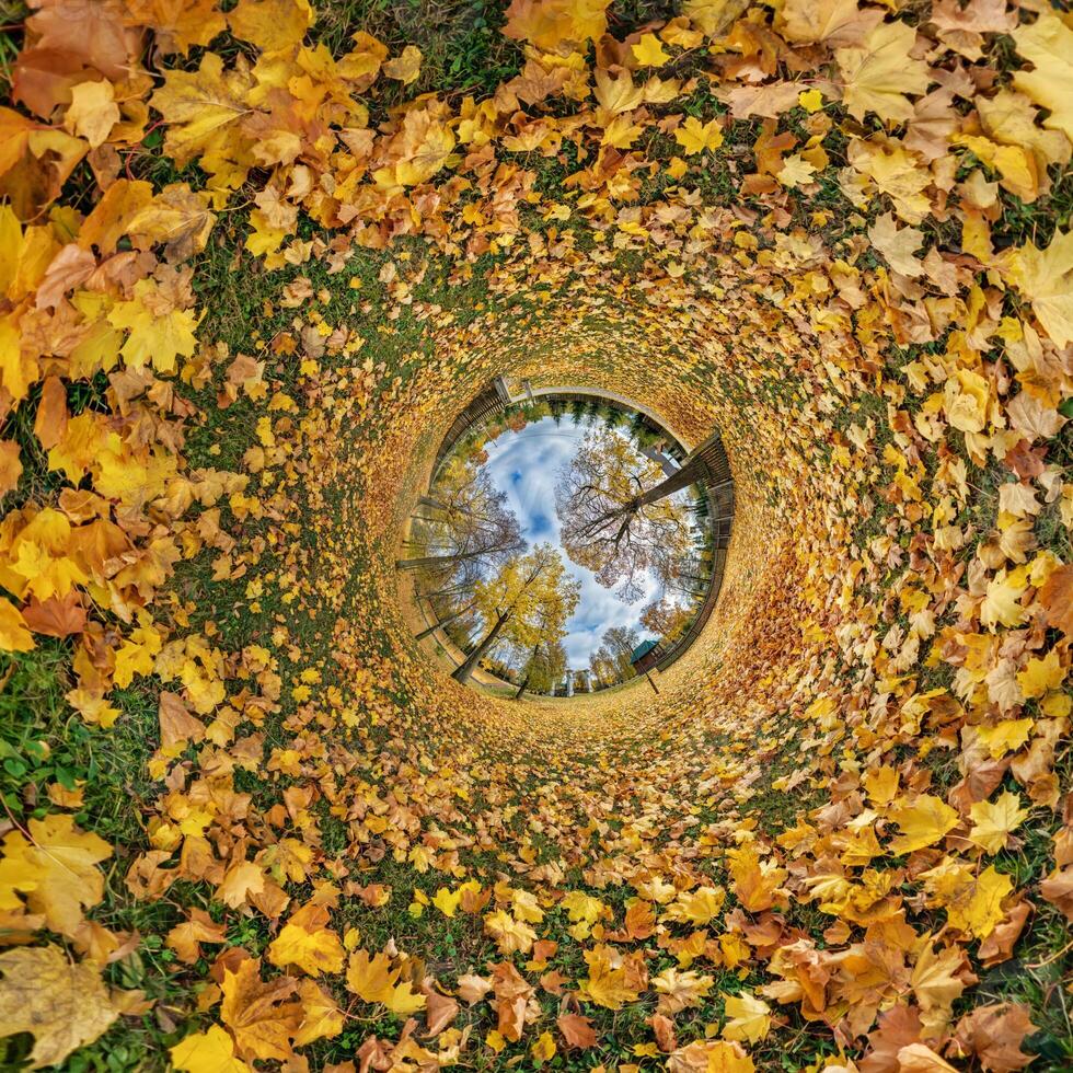 An image of a circular view of leaves on the ground photo